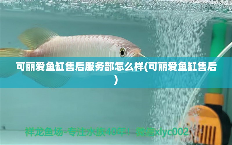 可麗愛魚缸售后服務(wù)部怎么樣(可麗愛魚缸售后) 錦鯉魚