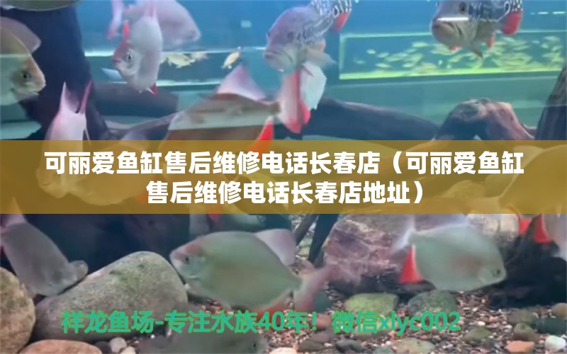 可麗愛(ài)魚(yú)缸售后維修電話長(zhǎng)春店（可麗愛(ài)魚(yú)缸售后維修電話長(zhǎng)春店地址）