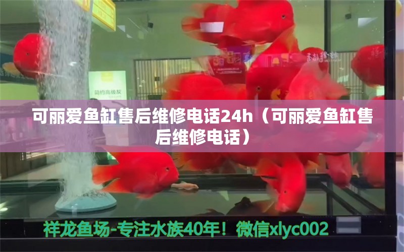 可麗愛魚缸售后維修電話24h（可麗愛魚缸售后維修電話）