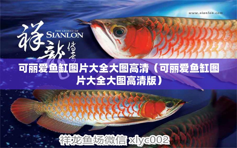 可麗愛(ài)魚缸圖片大全大圖高清（可麗愛(ài)魚缸圖片大全大圖高清版）