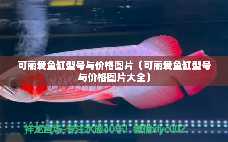 可麗愛魚缸型號與價格圖片（可麗愛魚缸型號與價格圖片大全） iwish愛唯希品牌魚缸