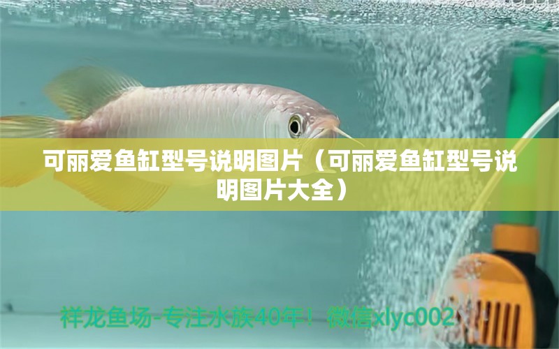 可麗愛(ài)魚(yú)缸型號(hào)說(shuō)明圖片（可麗愛(ài)魚(yú)缸型號(hào)說(shuō)明圖片大全） iwish愛(ài)唯希品牌魚(yú)缸