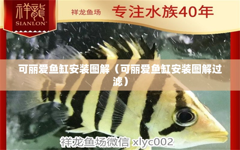 可麗愛(ài)魚(yú)缸安裝圖解（可麗愛(ài)魚(yú)缸安裝圖解過(guò)濾） 魚(yú)缸百科