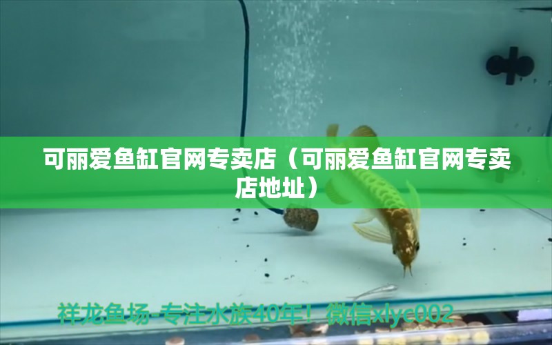 可麗愛(ài)魚(yú)缸官網(wǎng)專賣(mài)店（可麗愛(ài)魚(yú)缸官網(wǎng)專賣(mài)店地址） iwish愛(ài)唯希品牌魚(yú)缸