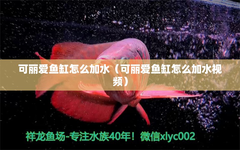 可麗愛魚缸怎么加水（可麗愛魚缸怎么加水視頻）