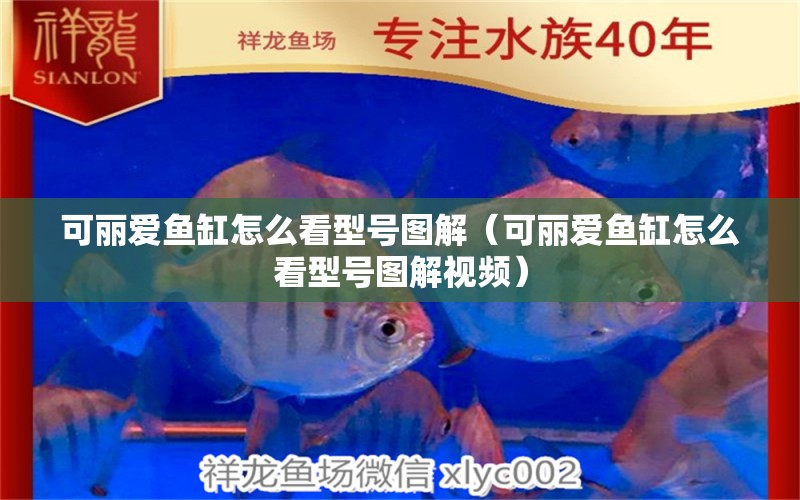 可麗愛魚缸怎么看型號圖解（可麗愛魚缸怎么看型號圖解視頻）