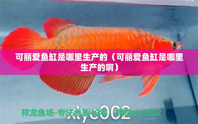 可麗愛魚缸是哪里生產(chǎn)的（可麗愛魚缸是哪里生產(chǎn)的?。?龍魚麻藥（祥龍Nika）