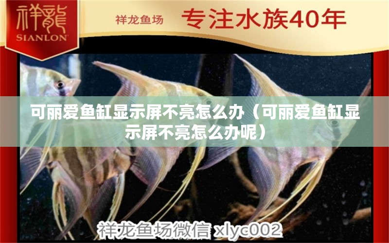 可麗愛魚缸顯示屏不亮怎么辦（可麗愛魚缸顯示屏不亮怎么辦呢） 觀賞魚市場（混養(yǎng)魚）