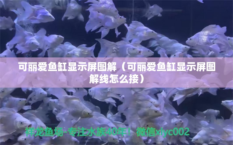 可麗愛魚缸顯示屏圖解（可麗愛魚缸顯示屏圖解線怎么接）