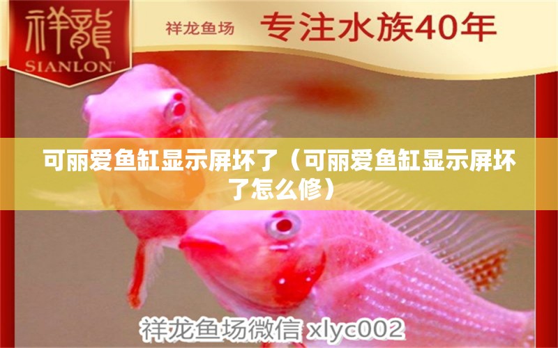 可麗愛魚缸顯示屏壞了（可麗愛魚缸顯示屏壞了怎么修）