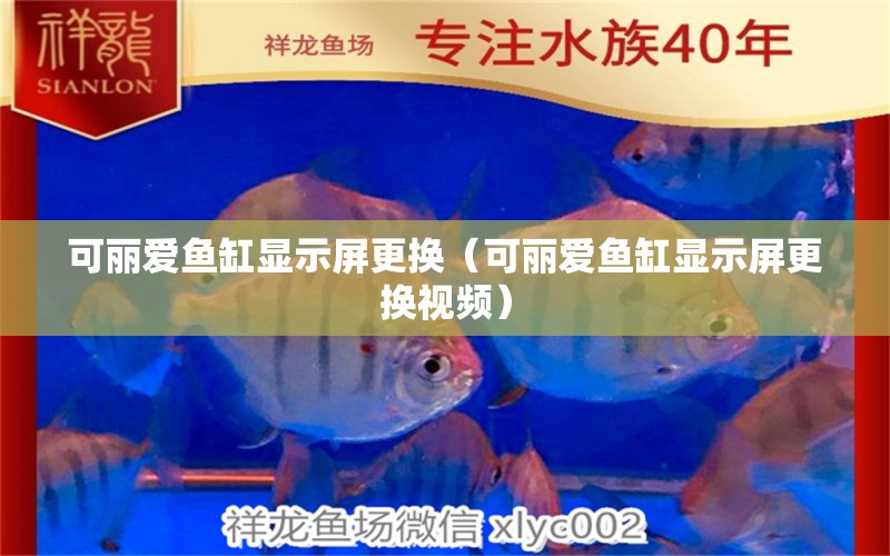 可麗愛魚缸顯示屏更換（可麗愛魚缸顯示屏更換視頻） iwish愛唯希品牌魚缸