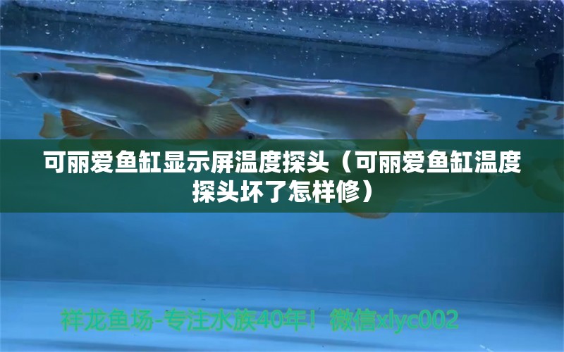 可麗愛魚缸顯示屏溫度探頭（可麗愛魚缸溫度探頭壞了怎樣修）