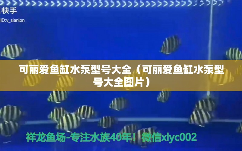 可麗愛魚缸水泵型號(hào)大全（可麗愛魚缸水泵型號(hào)大全圖片） 魚缸水泵