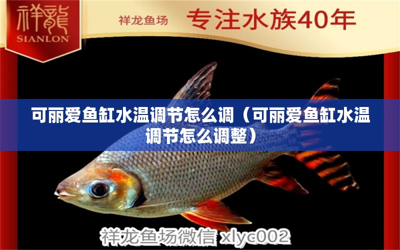 可麗愛魚缸水溫調(diào)節(jié)怎么調(diào)（可麗愛魚缸水溫調(diào)節(jié)怎么調(diào)整） 觀賞魚市場（混養(yǎng)魚）