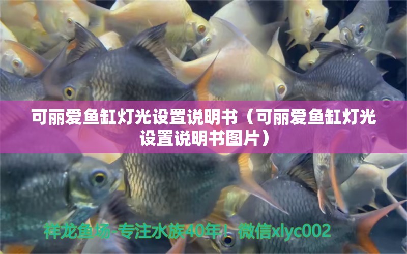 可麗愛魚缸燈光設(shè)置說明書（可麗愛魚缸燈光設(shè)置說明書圖片） 祥龍水族醫(yī)院