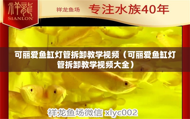 可麗愛魚缸燈管拆卸教學(xué)視頻（可麗愛魚缸燈管拆卸教學(xué)視頻大全） 祥龍水族醫(yī)院