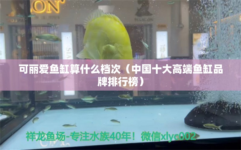 可麗愛魚缸算什么檔次（中國十大高端魚缸品牌排行榜）