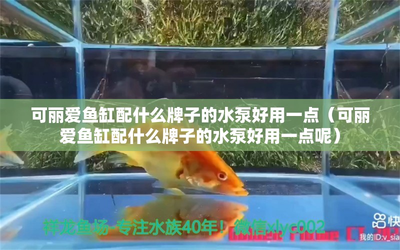 可麗愛魚缸配什么牌子的水泵好用一點（可麗愛魚缸配什么牌子的水泵好用一點呢）