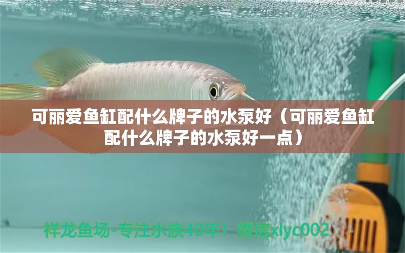 可麗愛魚缸配什么牌子的水泵好（可麗愛魚缸配什么牌子的水泵好一點(diǎn)）