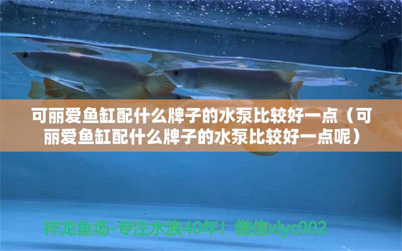 可麗愛魚缸配什么牌子的水泵比較好一點（可麗愛魚缸配什么牌子的水泵比較好一點呢） iwish愛唯希品牌魚缸