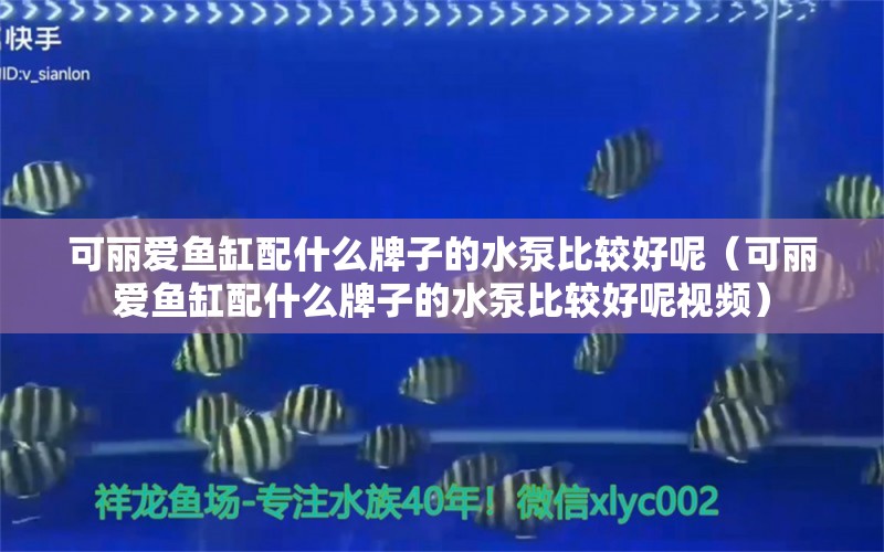 可麗愛(ài)魚(yú)缸配什么牌子的水泵比較好呢（可麗愛(ài)魚(yú)缸配什么牌子的水泵比較好呢視頻）