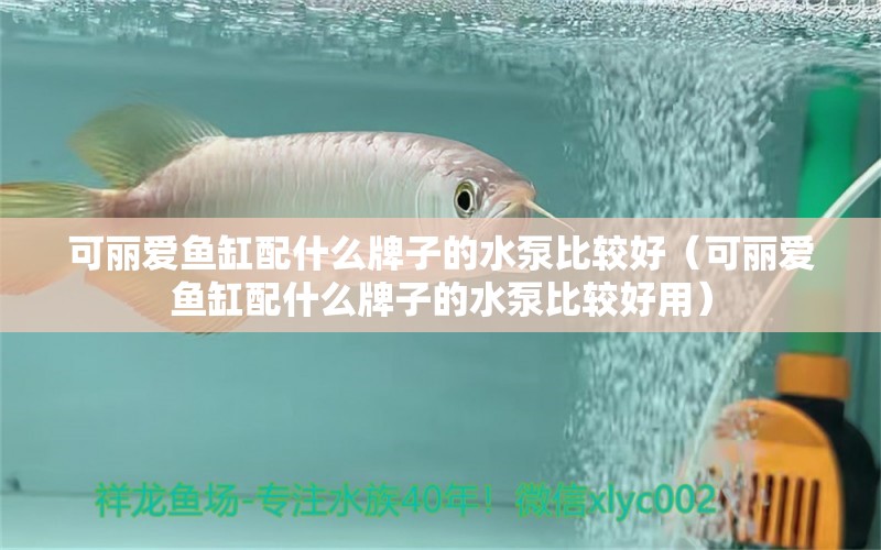 可麗愛(ài)魚(yú)缸配什么牌子的水泵比較好（可麗愛(ài)魚(yú)缸配什么牌子的水泵比較好用）