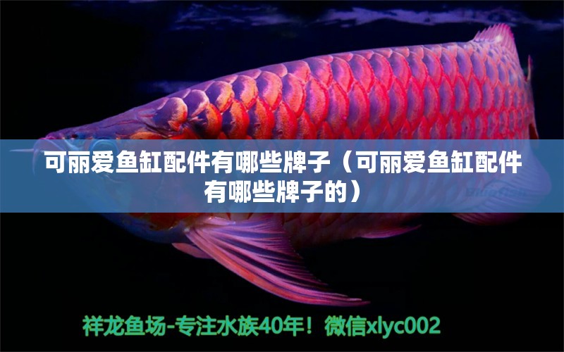 可麗愛(ài)魚(yú)缸配件有哪些牌子（可麗愛(ài)魚(yú)缸配件有哪些牌子的）