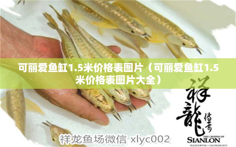 可麗愛魚缸1.5米價(jià)格表圖片（可麗愛魚缸1.5米價(jià)格表圖片大全）