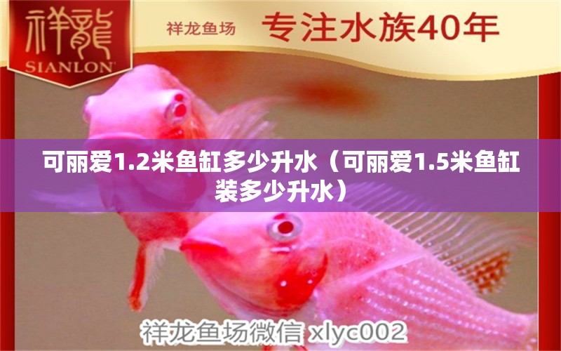 可麗愛1.2米魚缸多少升水（可麗愛1.5米魚缸裝多少升水） 魚缸百科