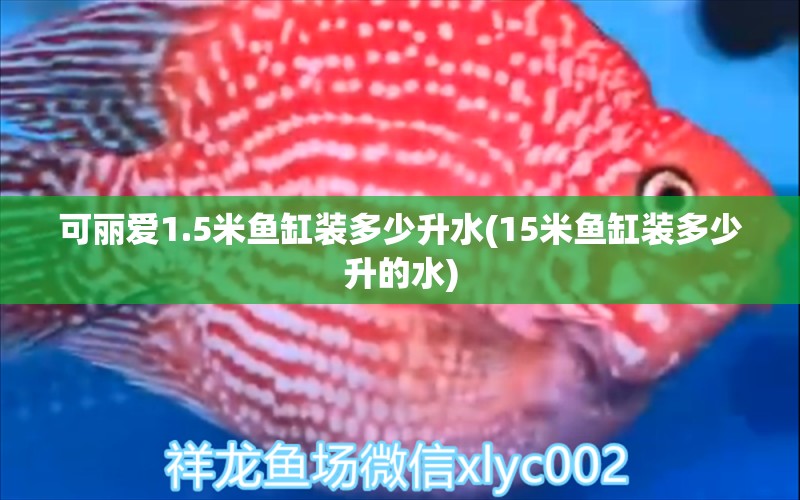 可麗愛1.5米魚缸裝多少升水(15米魚缸裝多少升的水) 麥肯斯銀版魚 第2張