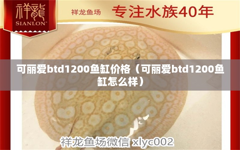 可麗愛btd1200魚缸價格（可麗愛btd1200魚缸怎么樣） iwish愛唯希品牌魚缸