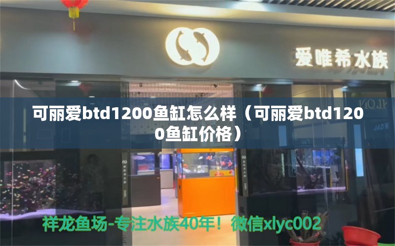 可麗愛btd1200魚缸怎么樣（可麗愛btd1200魚缸價格） iwish愛唯希品牌魚缸