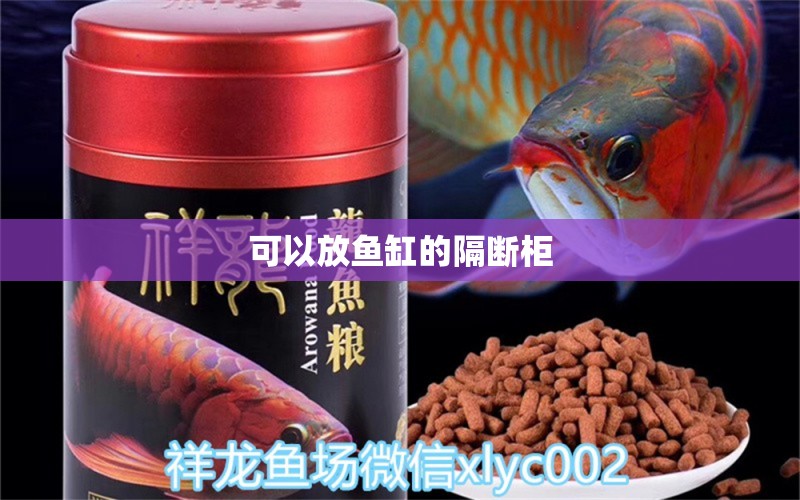 可以放魚缸的隔斷柜 祥龍魚場