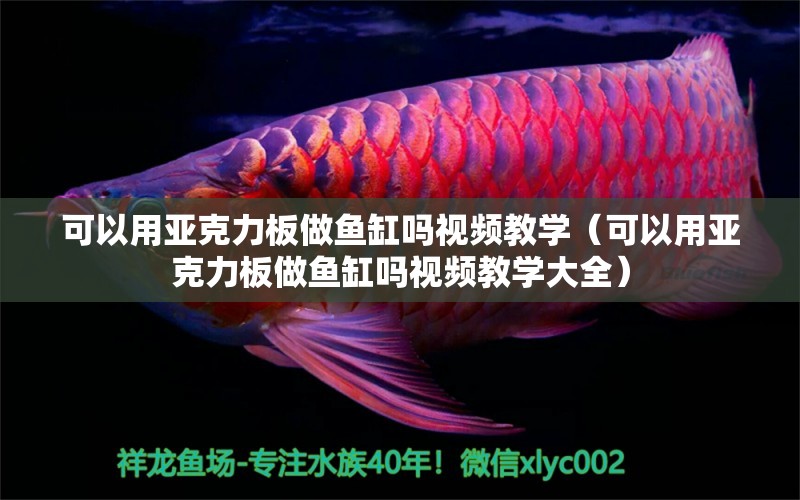 可以用亞克力板做魚缸嗎視頻教學(xué)（可以用亞克力板做魚缸嗎視頻教學(xué)大全）