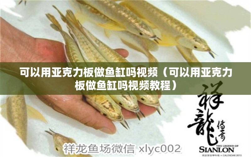 可以用亞克力板做魚缸嗎視頻（可以用亞克力板做魚缸嗎視頻教程）