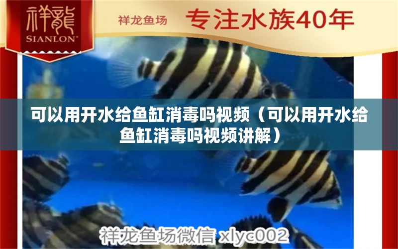 可以用開(kāi)水給魚(yú)缸消毒嗎視頻（可以用開(kāi)水給魚(yú)缸消毒嗎視頻講解）