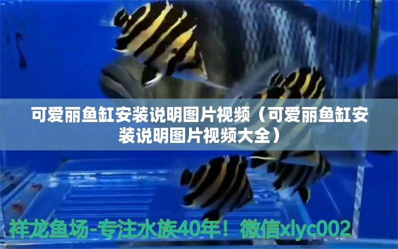 可愛麗魚缸安裝說明圖片視頻（可愛麗魚缸安裝說明圖片視頻大全）