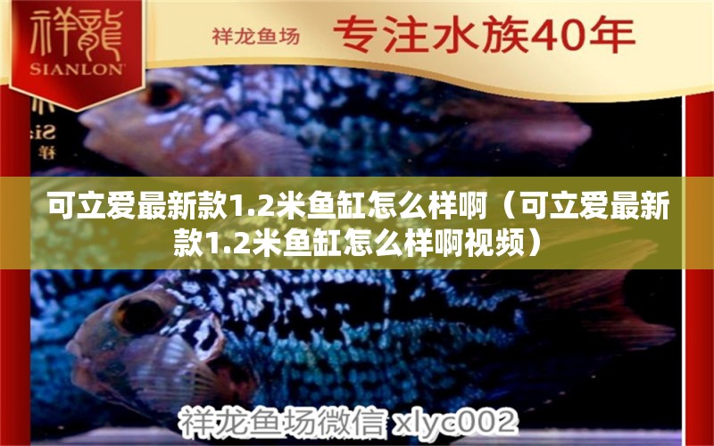 可立愛(ài)最新款1.2米魚(yú)缸怎么樣?。闪?ài)最新款1.2米魚(yú)缸怎么樣啊視頻）