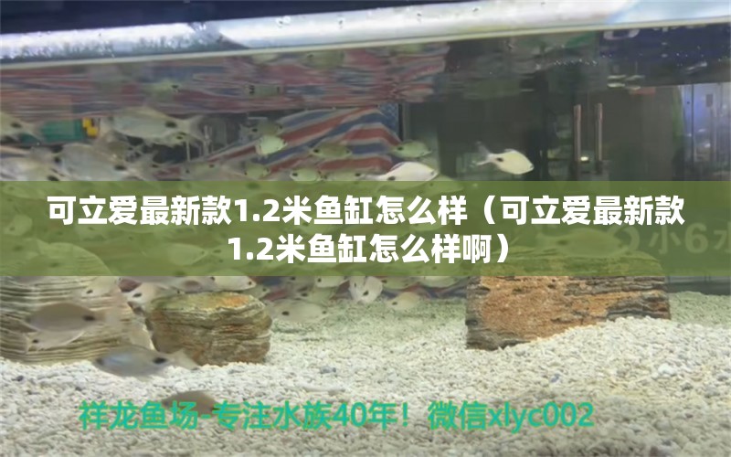 可立愛最新款1.2米魚缸怎么樣（可立愛最新款1.2米魚缸怎么樣?。?魚缸百科