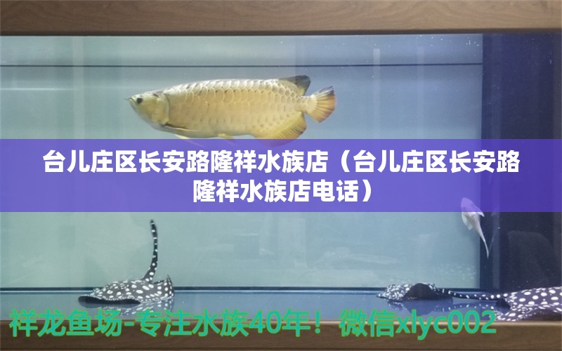 臺兒莊區(qū)長安路隆祥水族店（臺兒莊區(qū)長安路隆祥水族店電話）