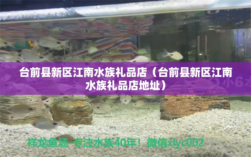 臺(tái)前縣新區(qū)江南水族禮品店（臺(tái)前縣新區(qū)江南水族禮品店地址）