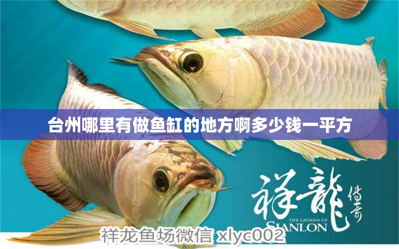 臺州哪里有做魚缸的地方啊多少錢一平方