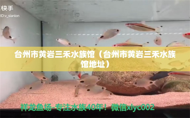 臺(tái)州市黃巖三禾水族館（臺(tái)州市黃巖三禾水族館地址） 全國(guó)水族館企業(yè)名錄