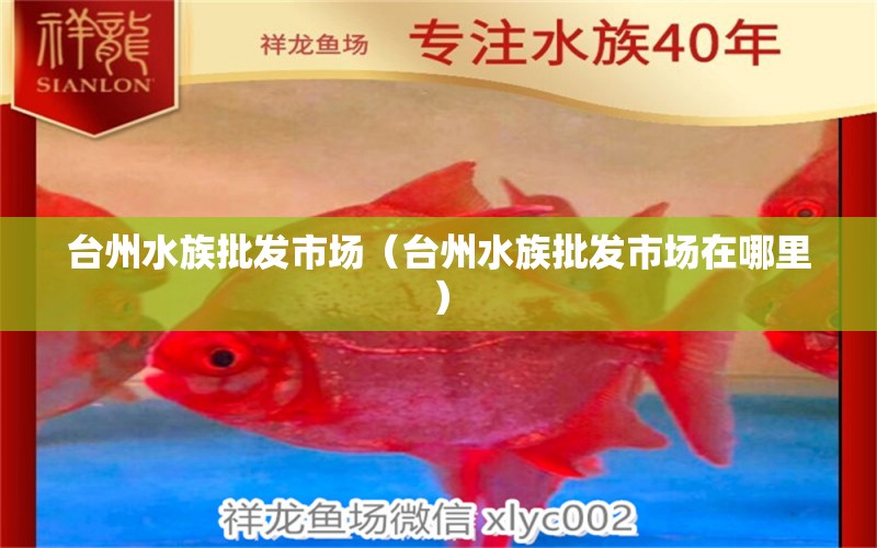 臺(tái)州水族批發(fā)市場(chǎng)（臺(tái)州水族批發(fā)市場(chǎng)在哪里） 觀賞魚(yú)水族批發(fā)市場(chǎng)