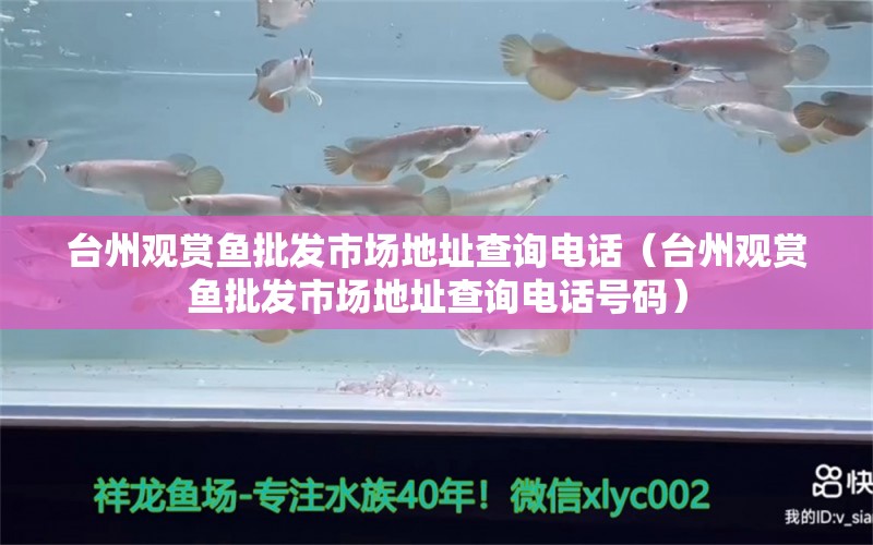 臺州觀賞魚批發(fā)市場地址查詢電話（臺州觀賞魚批發(fā)市場地址查詢電話號碼）