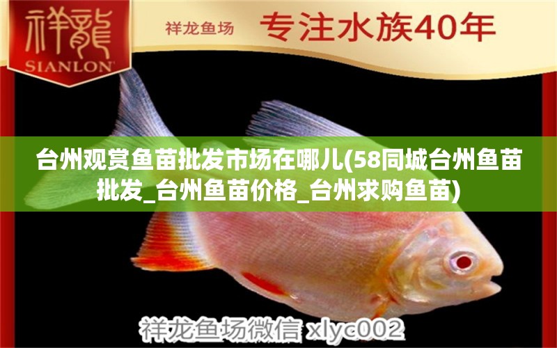 臺(tái)州觀賞魚(yú)苗批發(fā)市場(chǎng)在哪兒(58同城臺(tái)州魚(yú)苗批發(fā)_臺(tái)州魚(yú)苗價(jià)格_臺(tái)州求購(gòu)魚(yú)苗) 水溫計(jì)