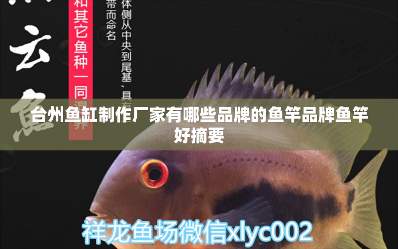 臺(tái)州魚缸制作廠家有哪些品牌的魚竿品牌魚竿好摘要