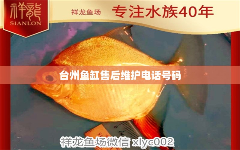 臺(tái)州魚缸售后維護(hù)電話號(hào)碼