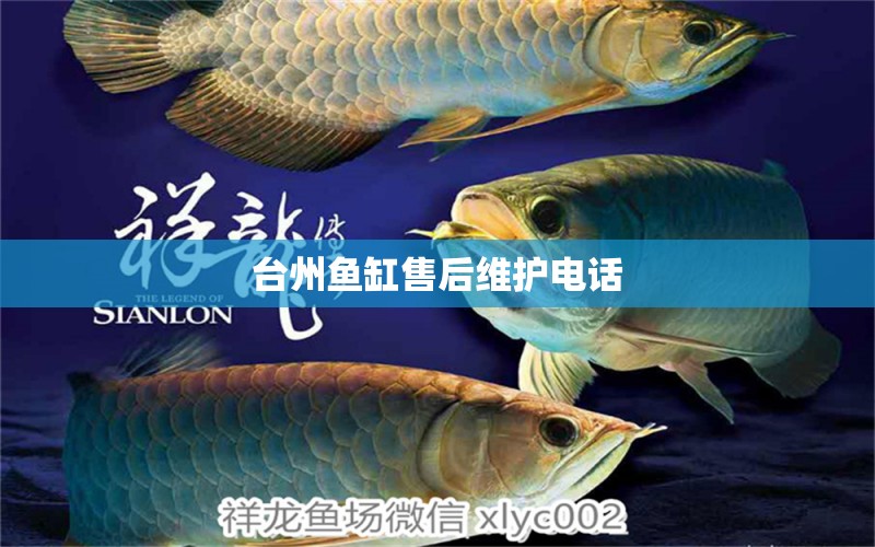 臺(tái)州魚缸售后維護(hù)電話