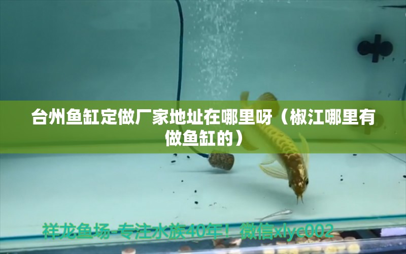 臺州魚缸定做廠家地址在哪里呀（椒江哪里有做魚缸的） 銀古魚苗